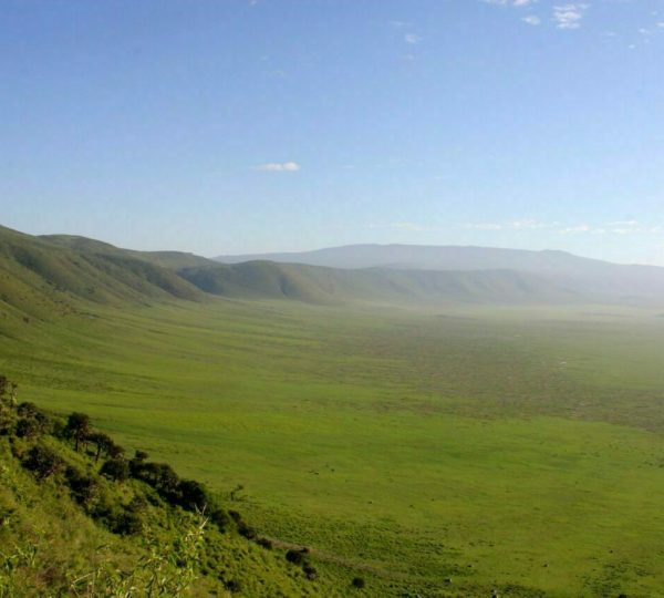 Safari im Ngorongoro-Krater