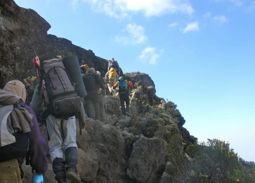 Gruppen-Trekking am Kilimandscharo über die Machame-Route