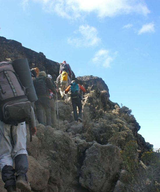 Gruppen-Trekking am Kilimandscharo über die Machame-Route
