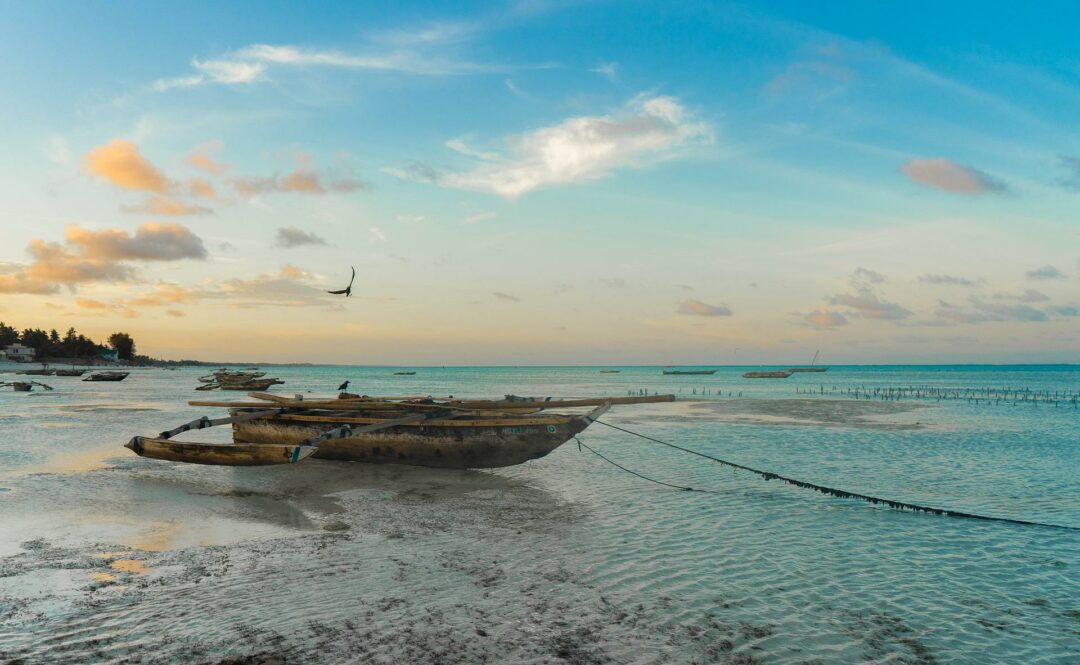 L'île de Pemba