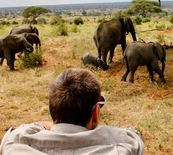 Nationalpark Tarangire