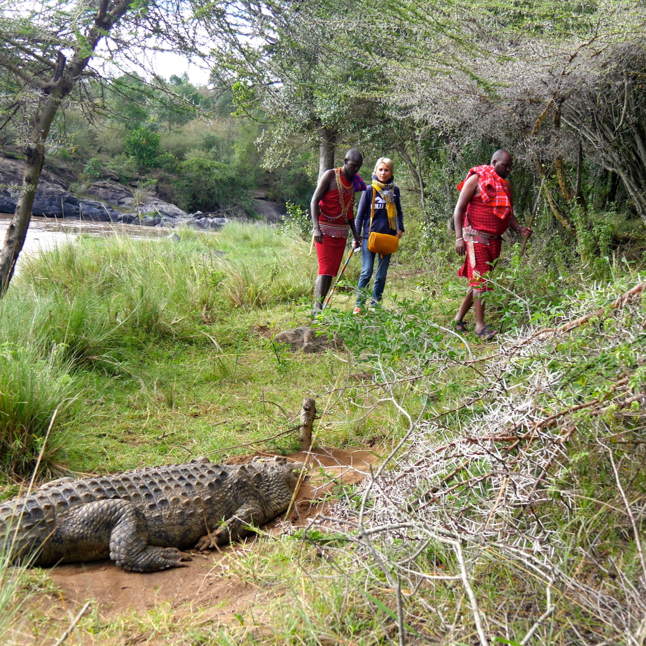 Wandersafari