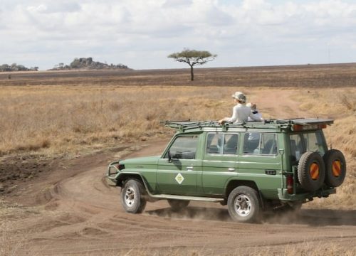 Wann ist die beste Reisezeit für Tansania, um die Serengeti zu besuchen?