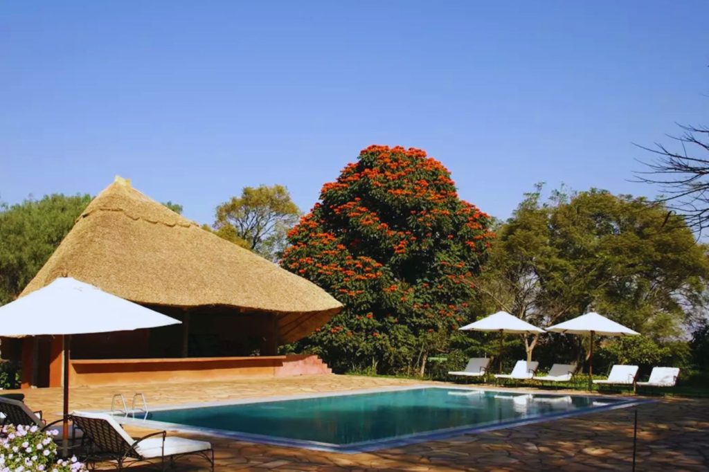 Ngorongoro Farm House Pool