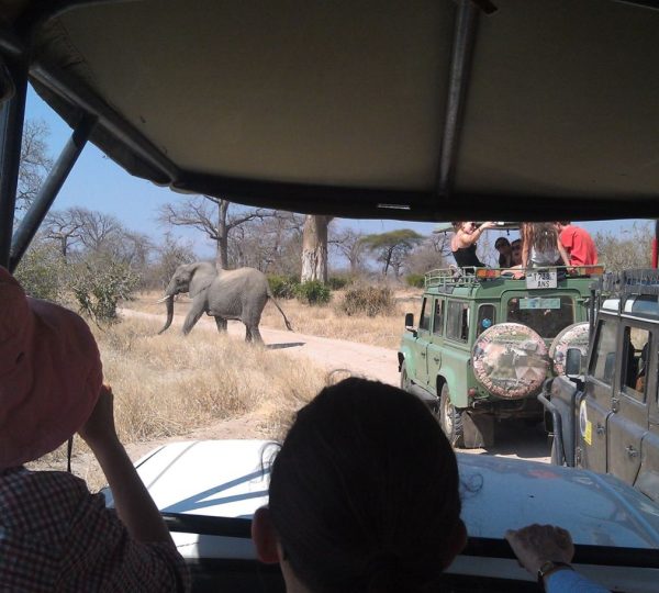4x4-Safari Süd-Tansania (1)