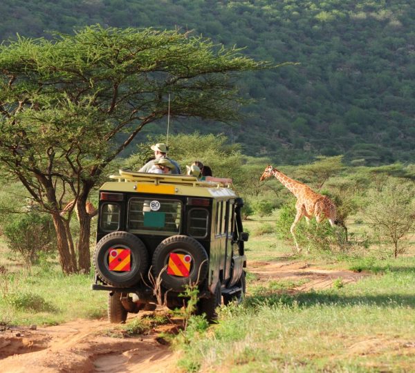 Safari Tansania Selous Kinga Lodge