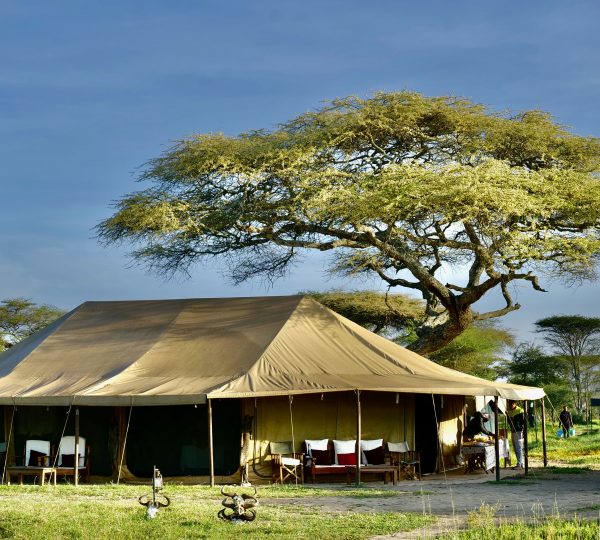 Serengeti Wildlands Mobile Camp Safari Tansania