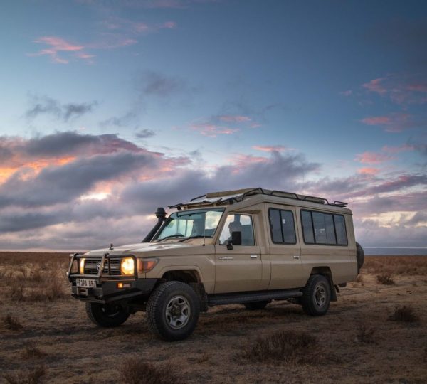 4x4-Safari