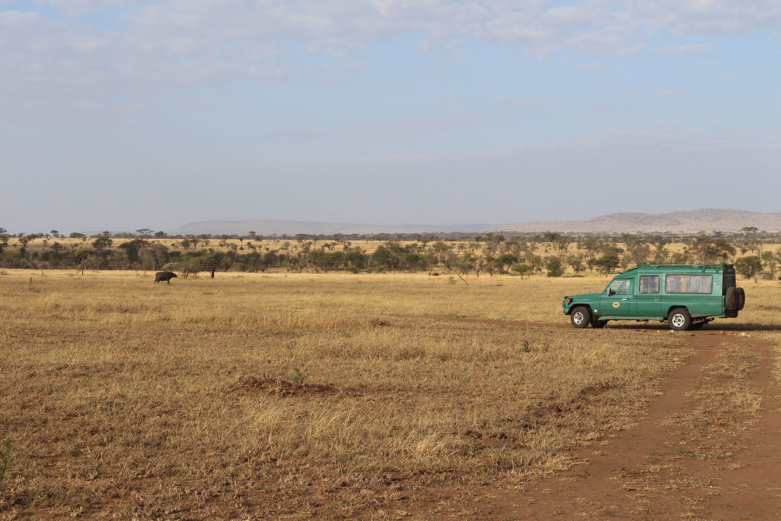 Safari 4x4 Tansania