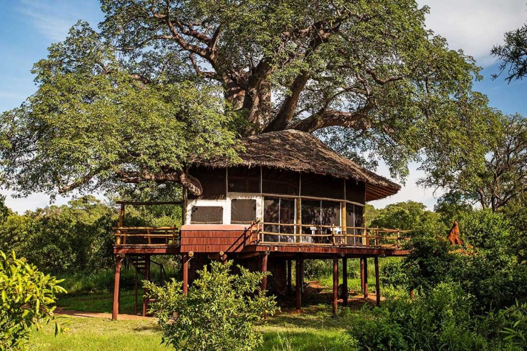 Baumhausunterkunft Tarangire Treetops Tansania