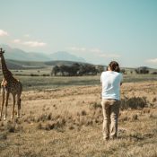 Safari-Foto in Tansania