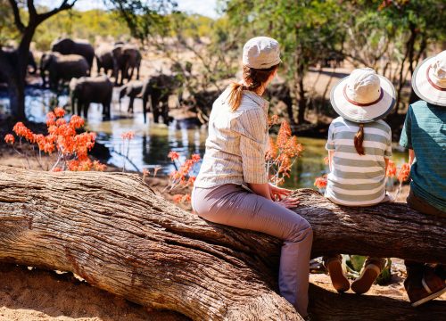 Familien-Safari in Tansania