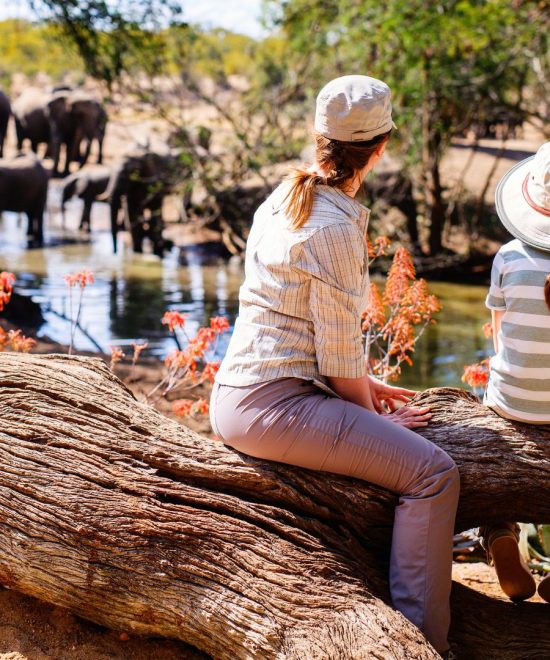 Familien-Safari in Tansania