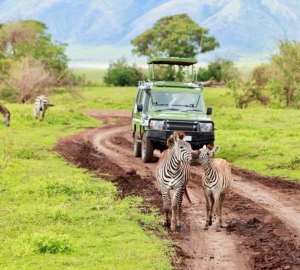 Zebra im Nationalpark Lake Manyara
Nationalpark Lake Manyara – Zebra
Ein Zebra im Nationalpark Lake Manyara, Tansania